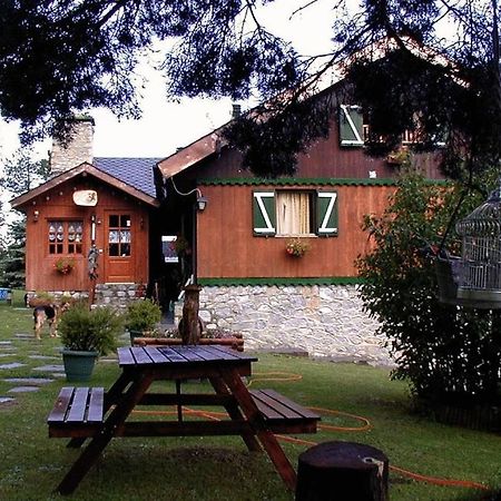Niu Dels Falcons Bed and Breakfast La Molina  Zewnętrze zdjęcie